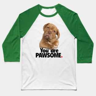 You are PAWSOME Baseball T-Shirt